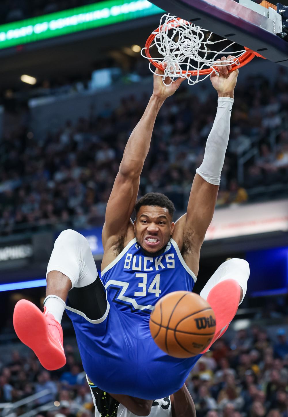 的每一寸土 的每一寸土